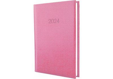 Дневник "ECONOMIX" ДАТ. 2024 PRINCIPE, розовый, А5 001978905 фото