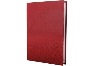 Дневник "ECONOMIX" ДАТ. 2024 SNAKE (ЗМЕЯ), красный, А5 001978969 фото