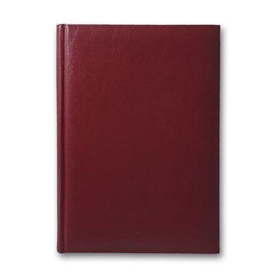 Дневник 3В-14 н/дат "Infolk-Miradur" бордовый 168л. == 130*190 001978829 фото